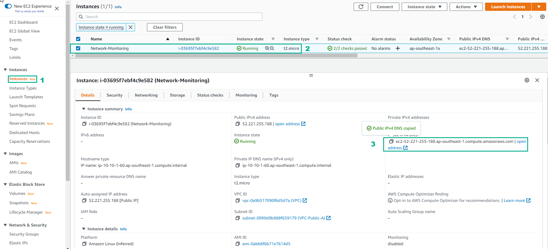 Network Monitoring